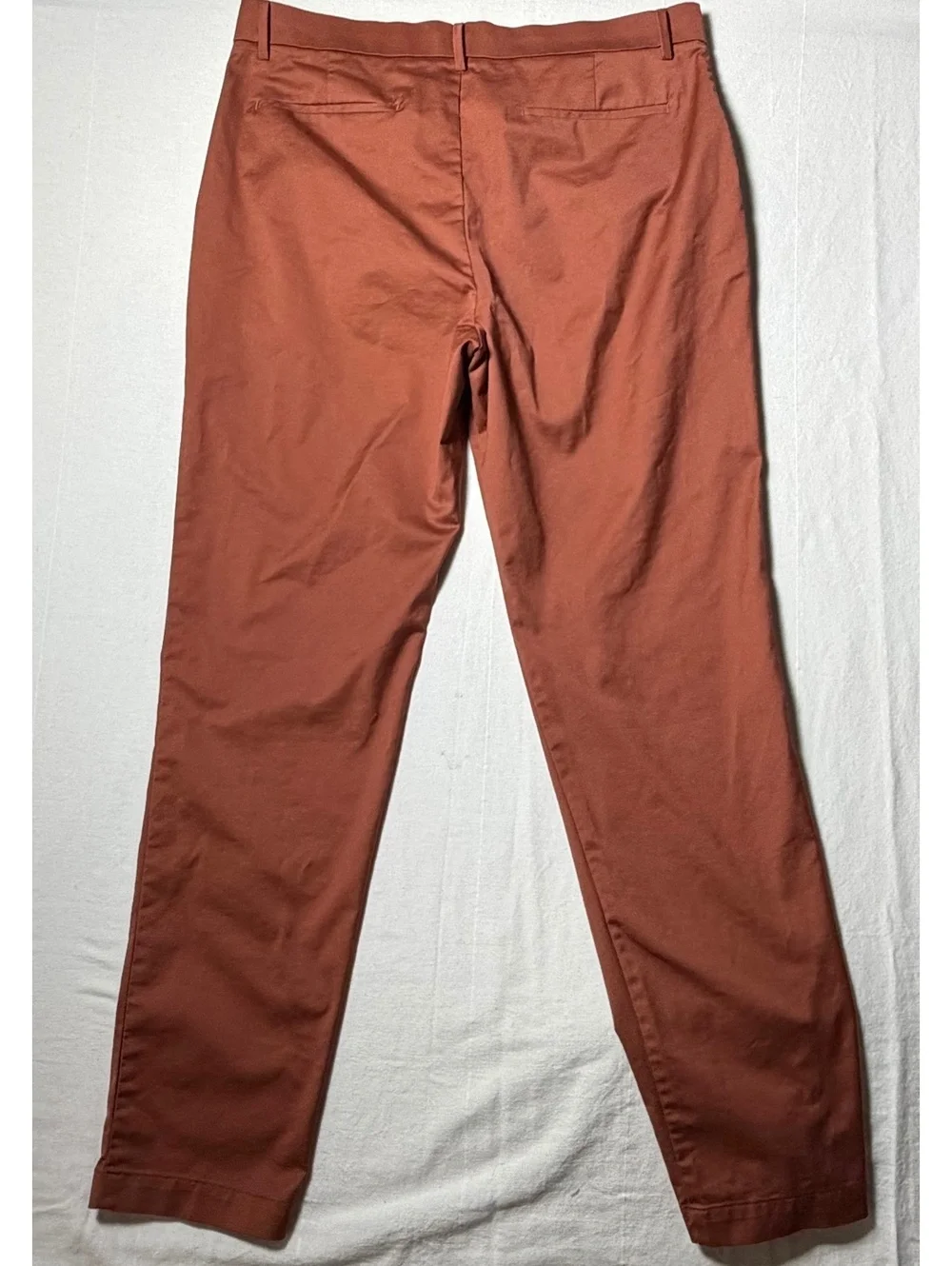 Banana Republic Rust Chinos Pants